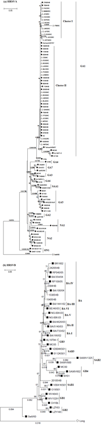 Viruses 04 02432 g001 200