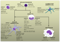 Viruses 04 02448 g002 200