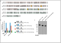 Viruses 04 02471 g004 200