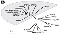 Viruses 04 02514 g001b 200