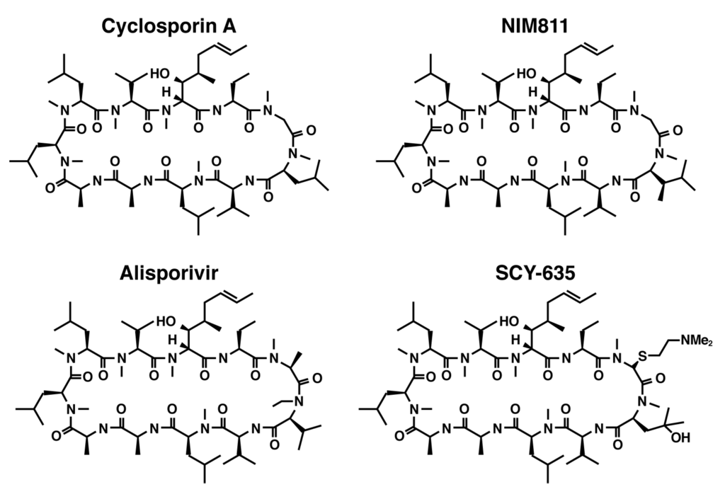 Viruses 04 02558 g001 1024