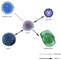 Viruses 04 02650 g004 200