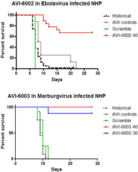 Viruses 04 02806 g009 200
