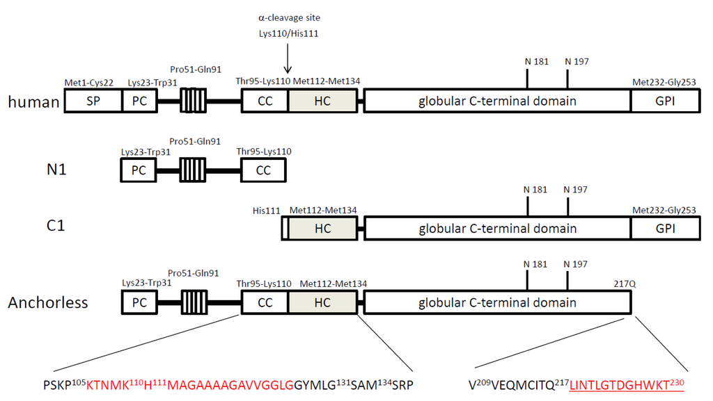 Viruses 04 03109 g001 1024