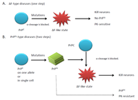 Viruses 04 03109 g003 200