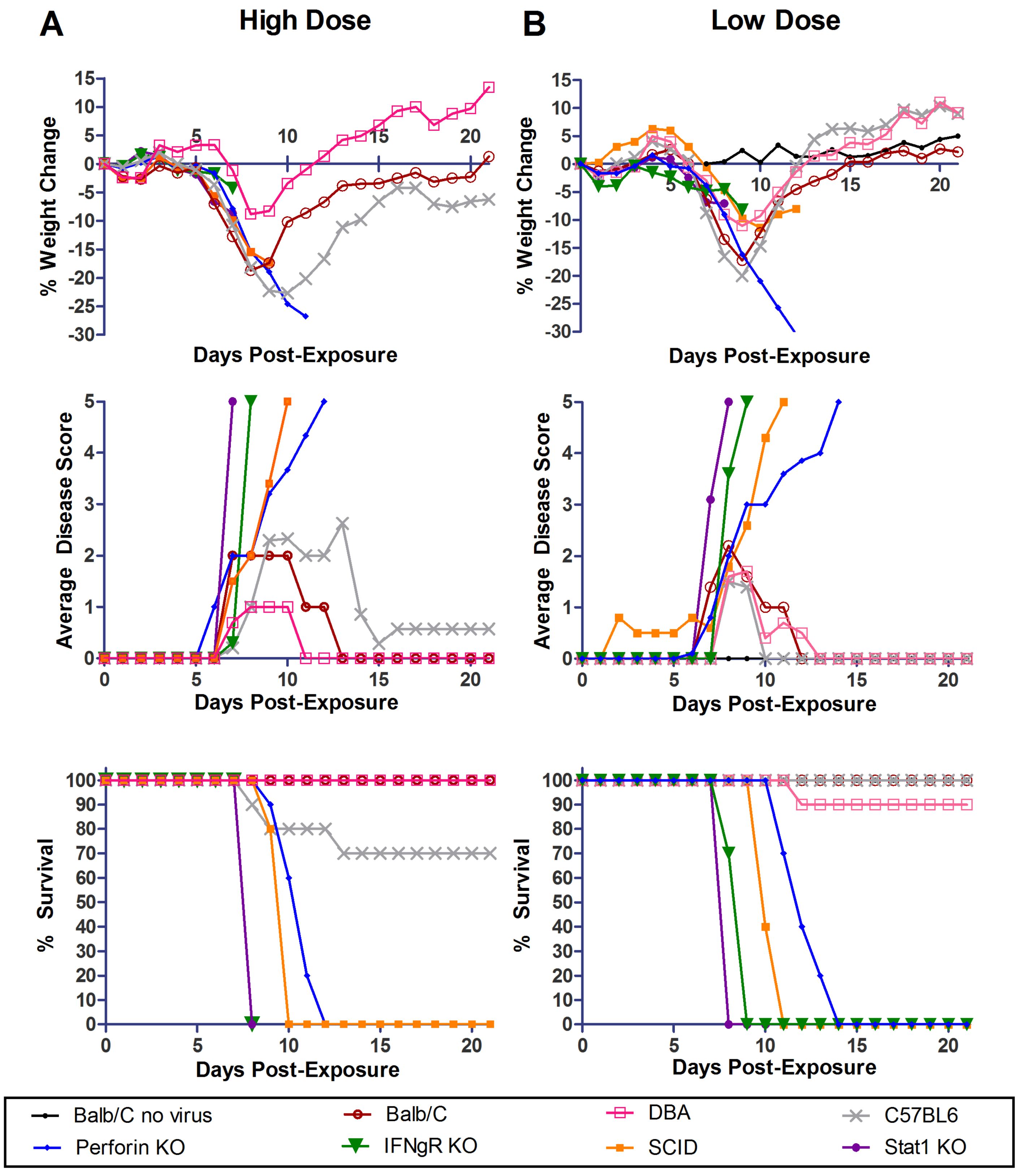 Viruses 04 03468 g001