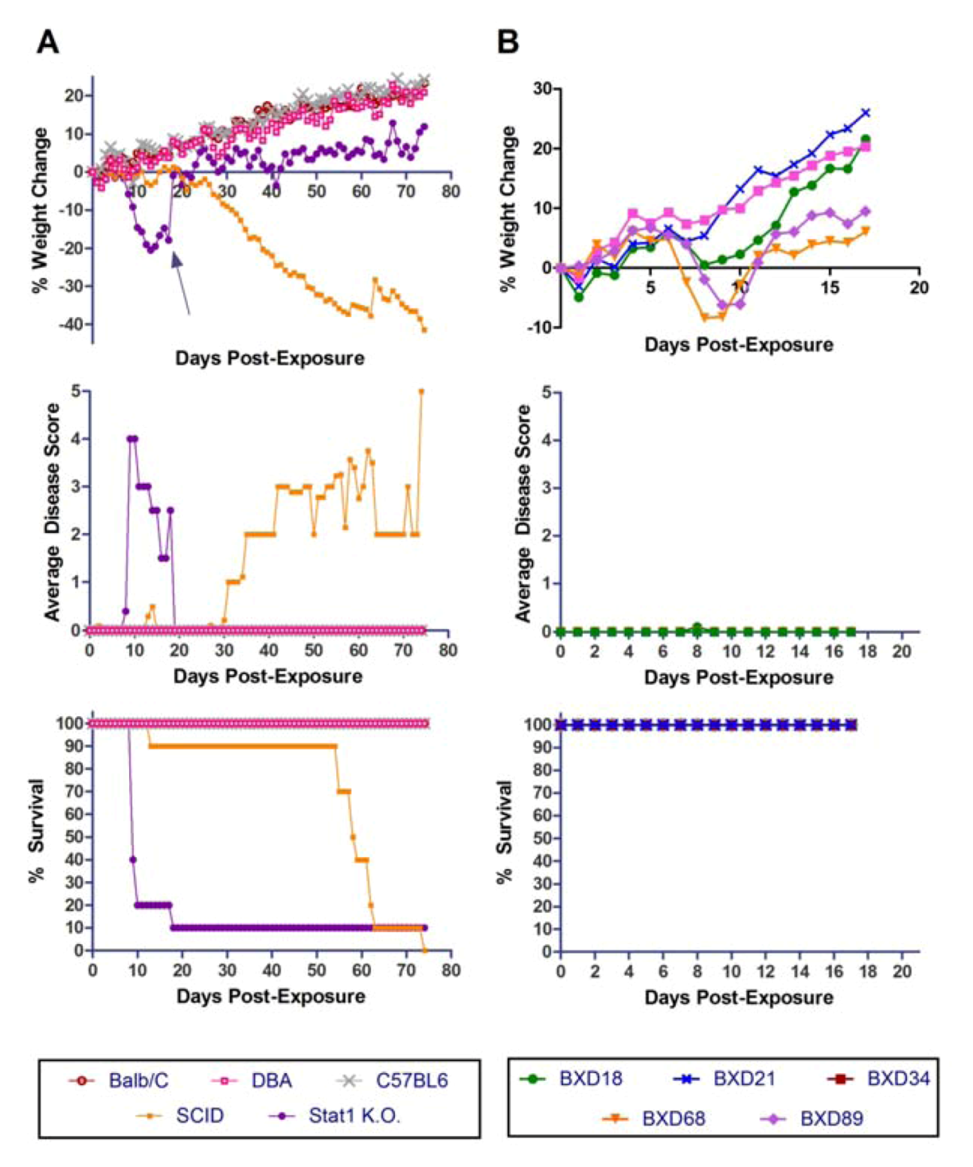 Viruses 04 03468 g003