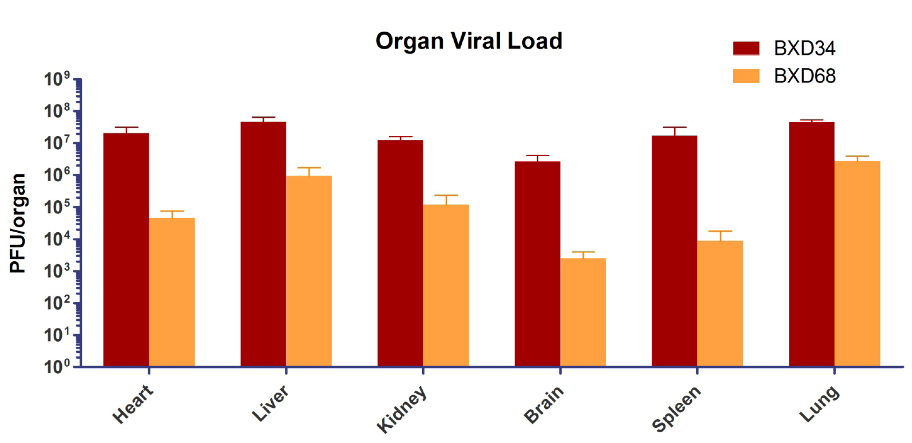 Viruses 04 03468 g004