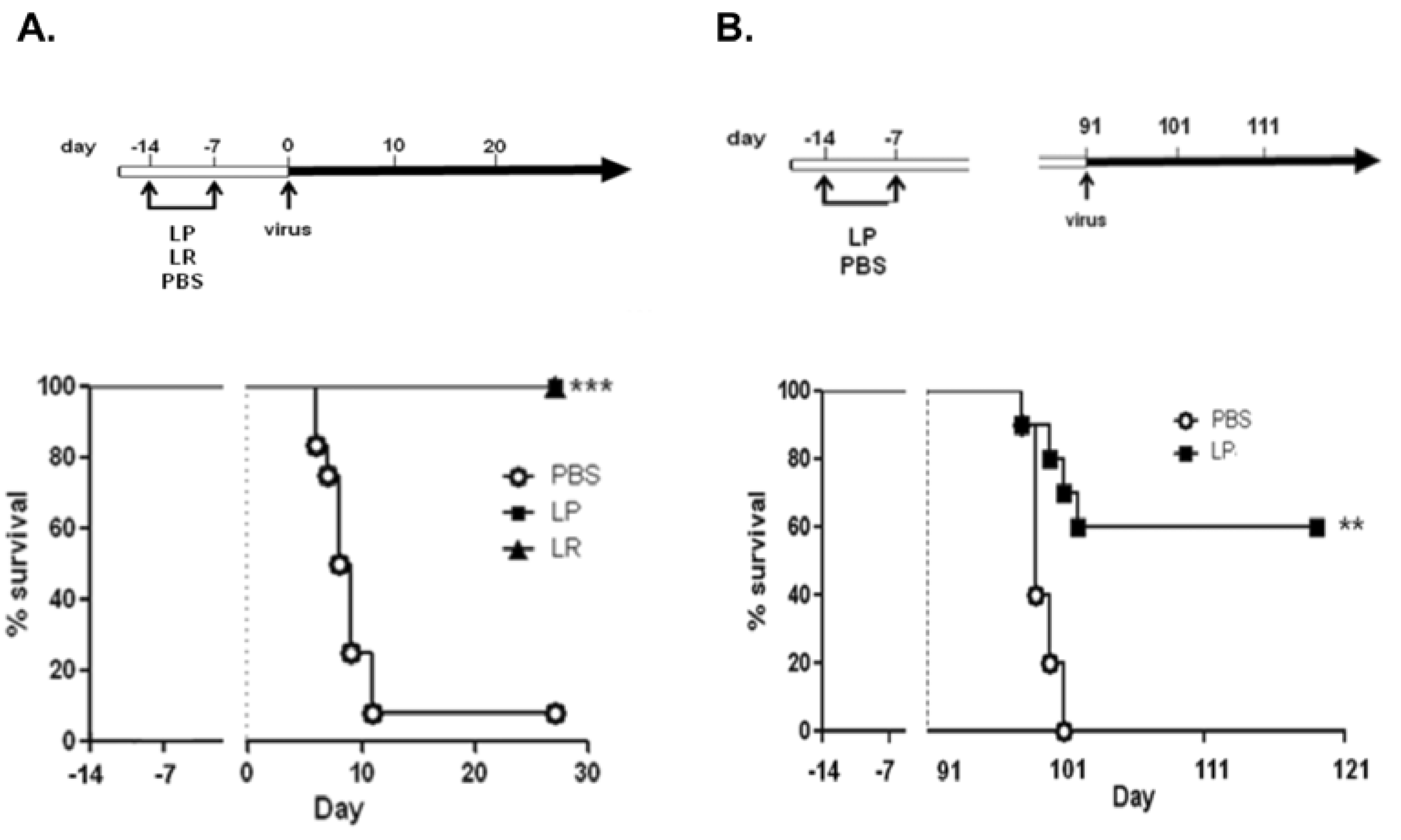 Viruses 04 03494 g003