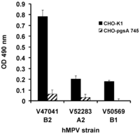 Viruses 04 03785 g001 200