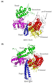Viruses 05 00054 g001 200