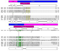 Viruses 05 00054 g002 200