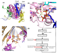 Viruses 05 00054 g003 200