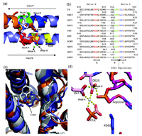 Viruses 05 00054 g004 200