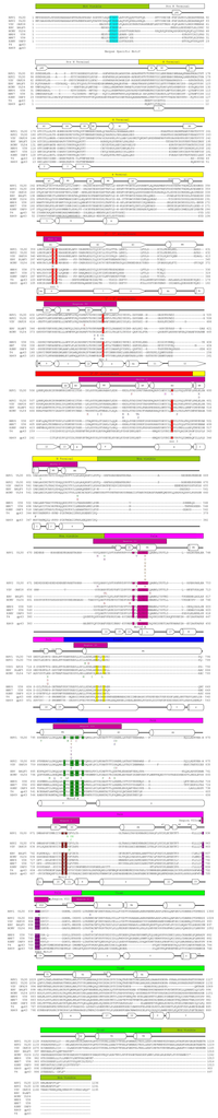 Viruses 05 00054 g005 200