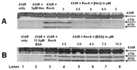 Viruses 05 00111 g007 200