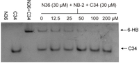 Viruses 05 00127 g002 200