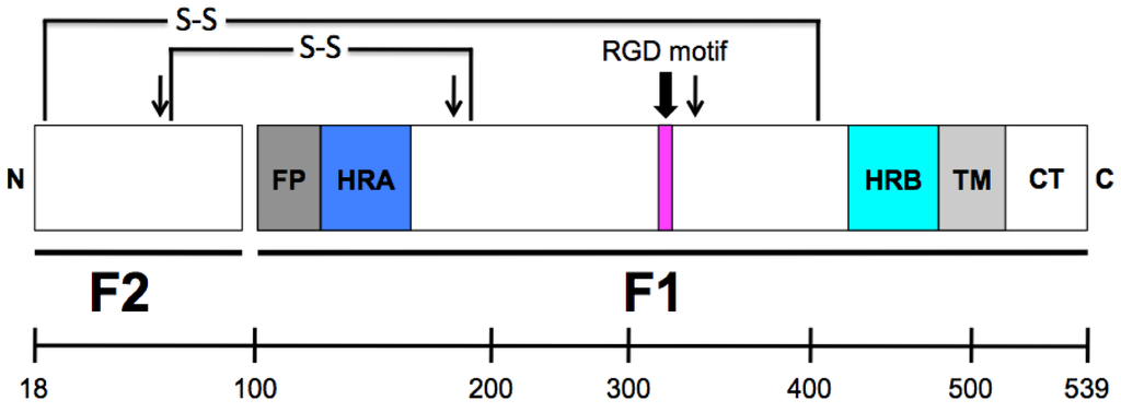 Viruses 05 00192 g002 1024