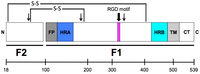 Viruses 05 00192 g002 200