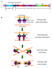 Viruses 05 00211 g001 200