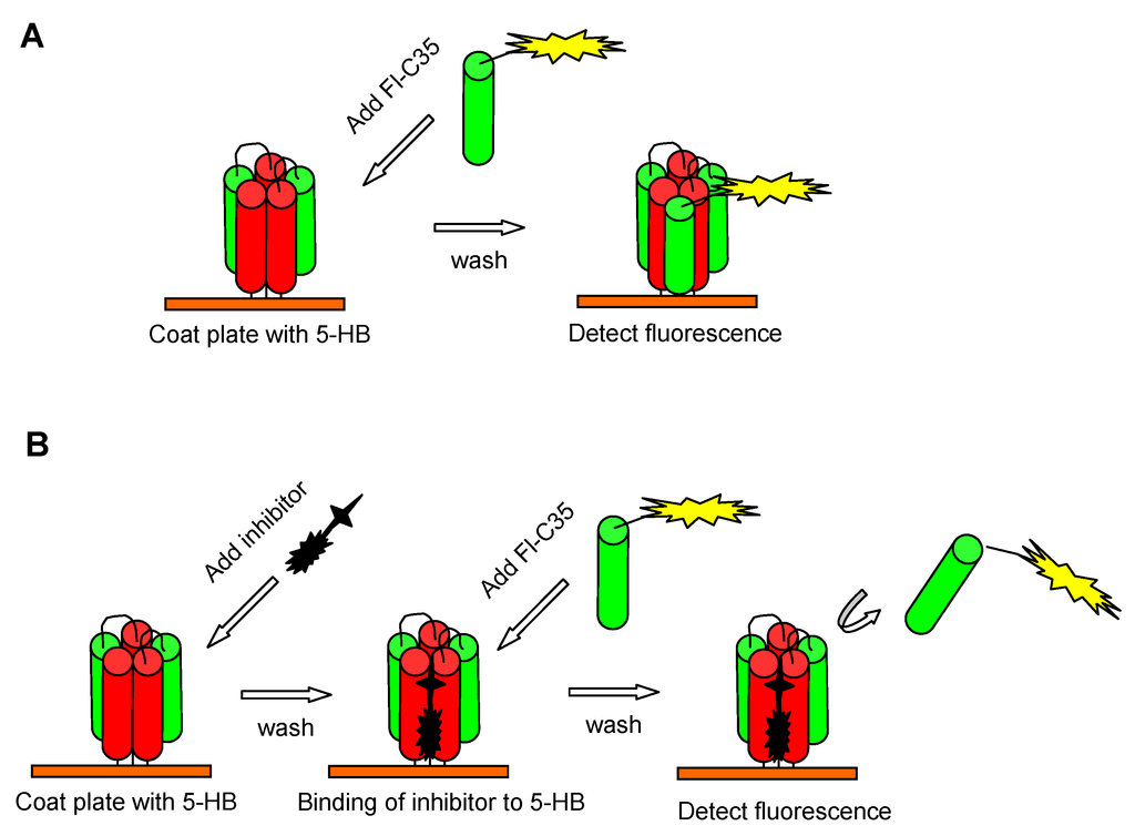 Viruses 05 00211 g002 1024