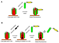 Viruses 05 00211 g002 200