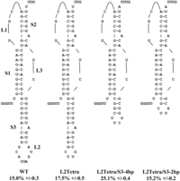 Viruses 05 00279 g001 200
