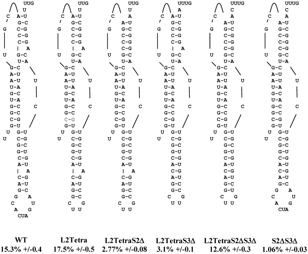 Viruses 05 00279 g002 1024