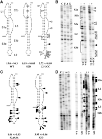Viruses 05 00279 g003 200