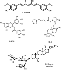 Viruses 05 00352 g006 200