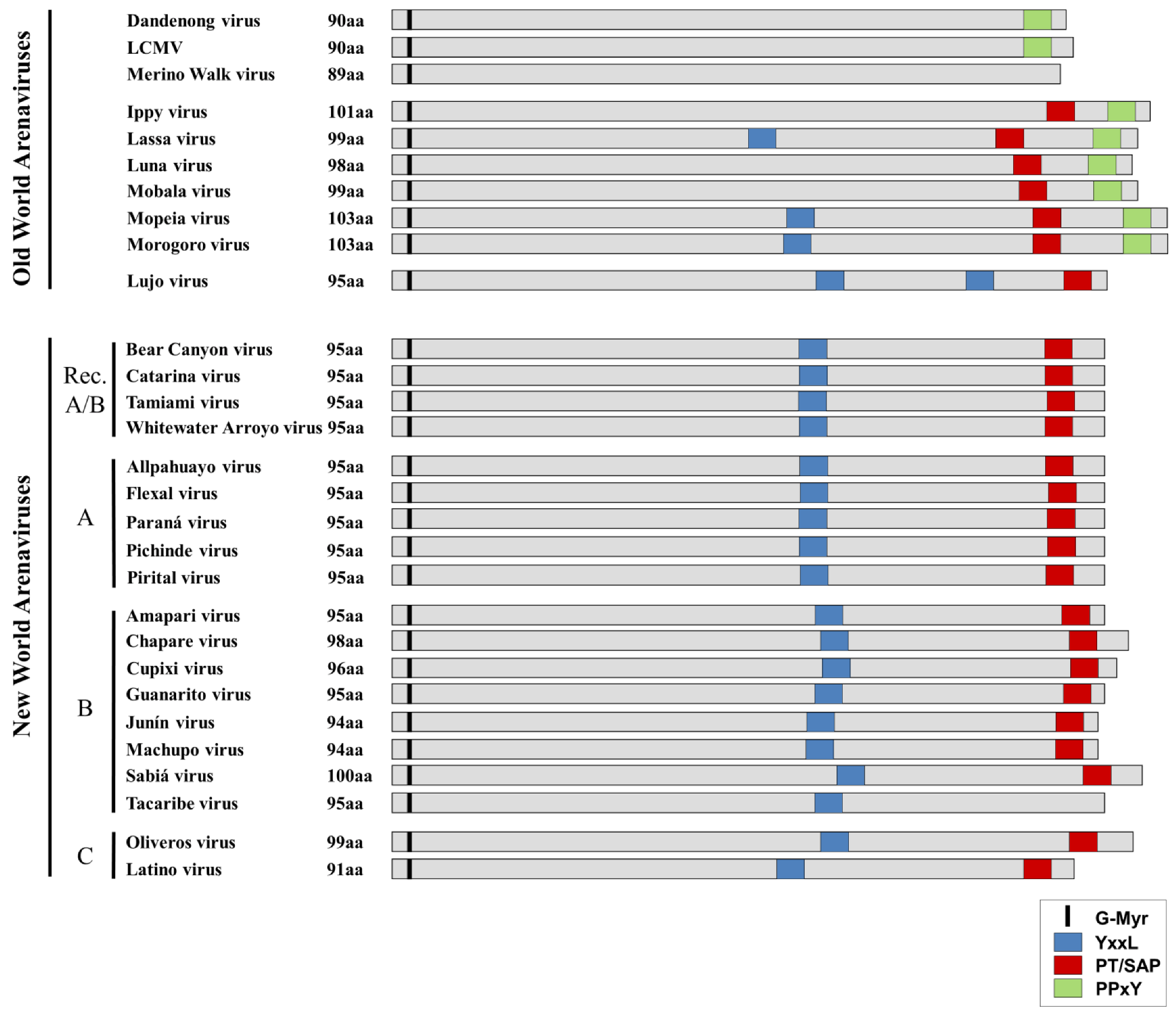Viruses 05 00528 g004 1024
