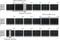 Viruses 05 00568 g002 200