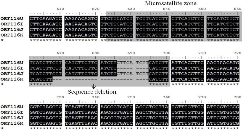 Viruses 05 00568 g003 1024