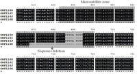 Viruses 05 00568 g003 200