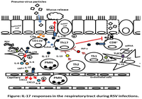 Viruses 05 00777 g001 200