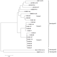 Viruses 05 00792 g001 200