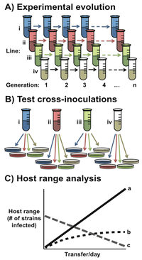 Viruses 05 00806 g001 200