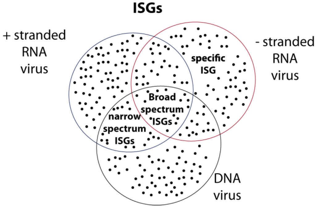 Viruses 05 00834 g004 1024