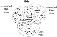 Viruses 05 00834 g004 200