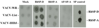 Viruses 05 00928 g001 200