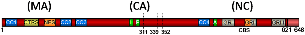 Viruses 05 01023 g001 1024