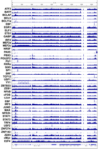 Viruses 05 01042 g002 200