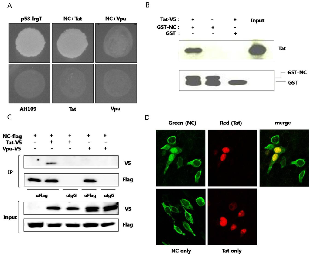Viruses 05 01143 g001 1024