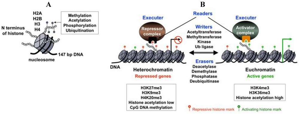 Viruses 05 01346 g001