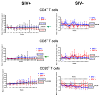 Viruses 05 01414 g003 200