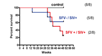 Viruses 05 01414 g005 200