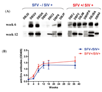 Viruses 05 01414 g006 200