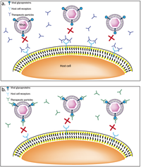 Viruses 05 01447 g001 200