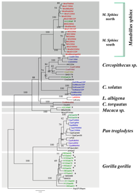 Viruses 05 01536 g004 200