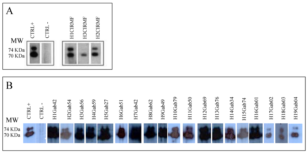 Viruses 05 01536 g007 1024